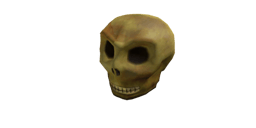 Skull