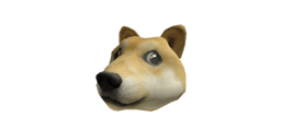 Doge