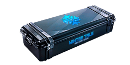 Winter Tale