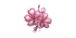 Sakura
